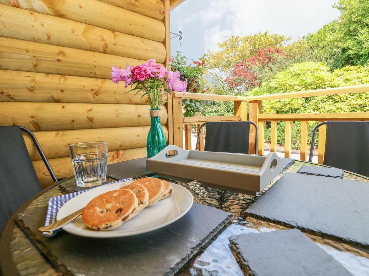 Willow Lodge Тенби Екстериор снимка